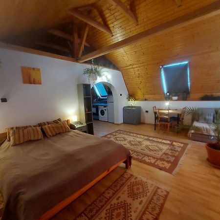 Attila-Apartman Budaörs Exteriör bild