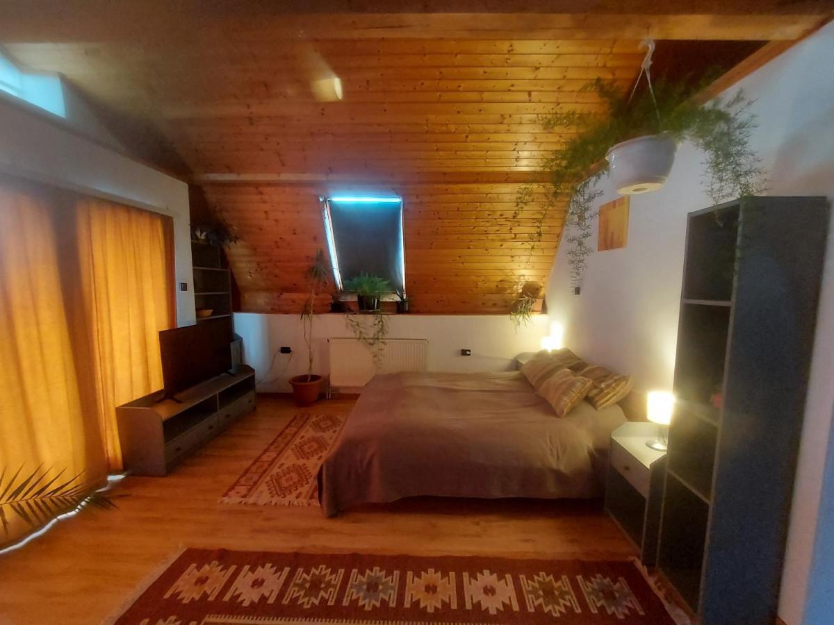 Attila-Apartman Budaörs Exteriör bild